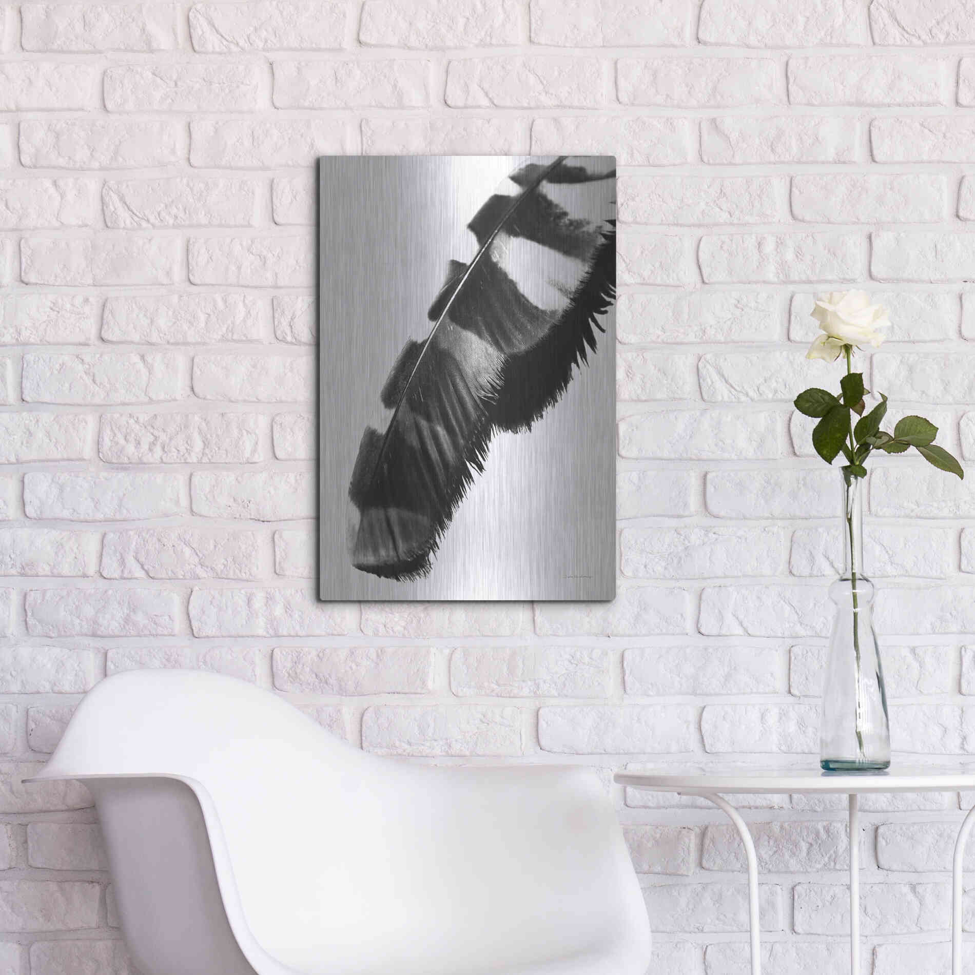 Luxe Metal Art 'Feather Shadow II White' by Debra Van Swearingen, Metal Wall Art,16x24