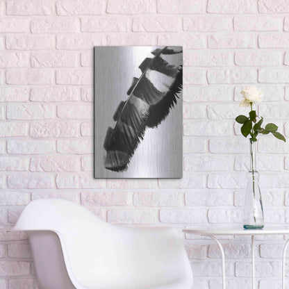 Luxe Metal Art 'Feather Shadow II White' by Debra Van Swearingen, Metal Wall Art,16x24