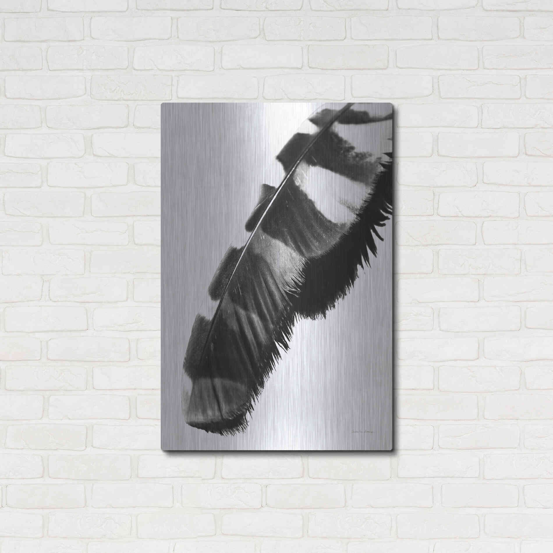 Luxe Metal Art 'Feather Shadow II White' by Debra Van Swearingen, Metal Wall Art,24x36