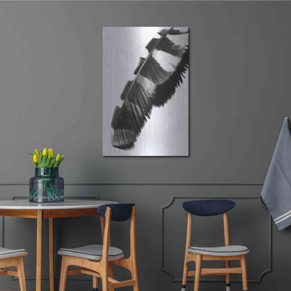 Luxe Metal Art 'Feather Shadow II White' by Debra Van Swearingen, Metal Wall Art,24x36