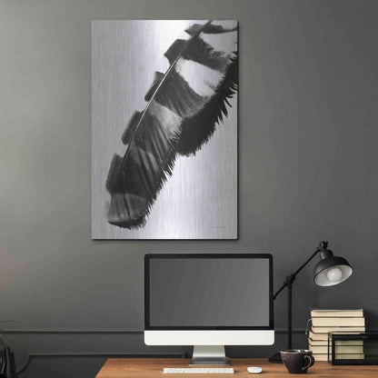 Luxe Metal Art 'Feather Shadow II White' by Debra Van Swearingen, Metal Wall Art,24x36