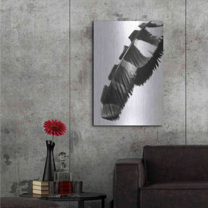Luxe Metal Art 'Feather Shadow II White' by Debra Van Swearingen, Metal Wall Art,24x36