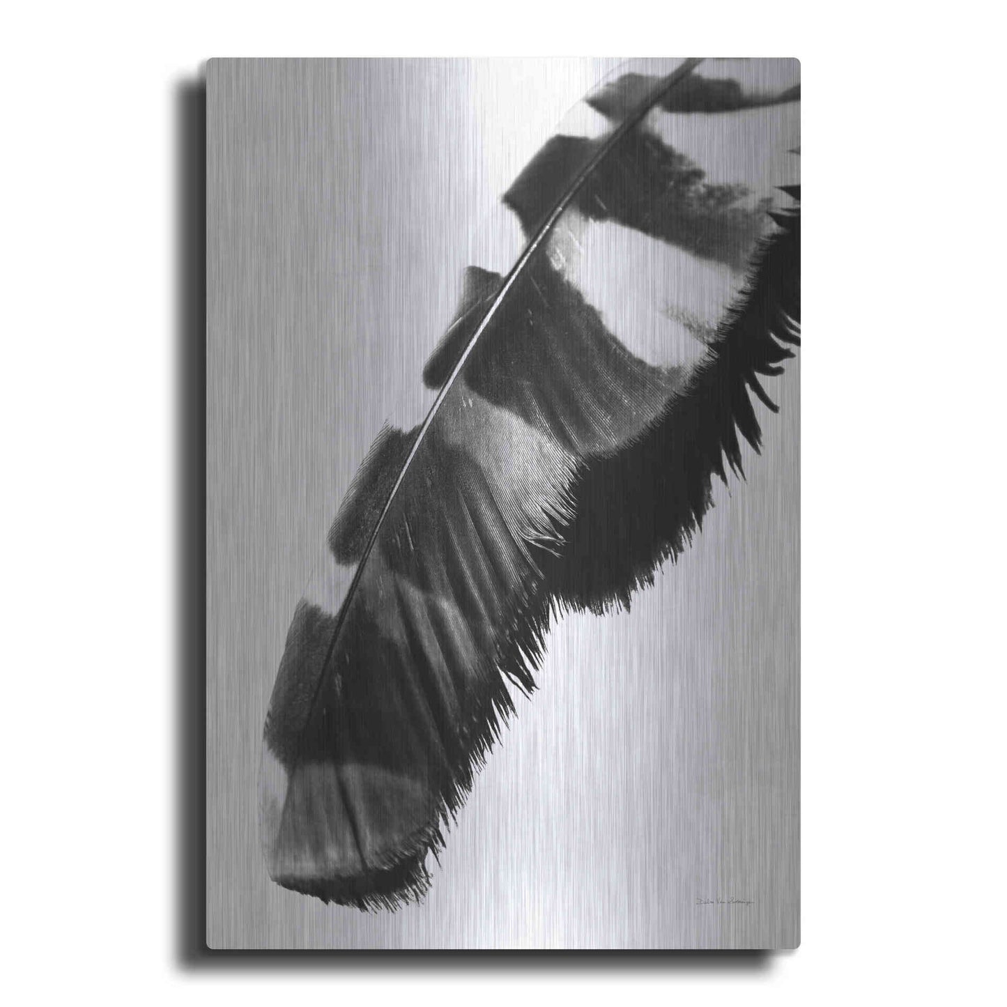 Luxe Metal Art 'Feather Shadow II White' by Debra Van Swearingen, Metal Wall Art