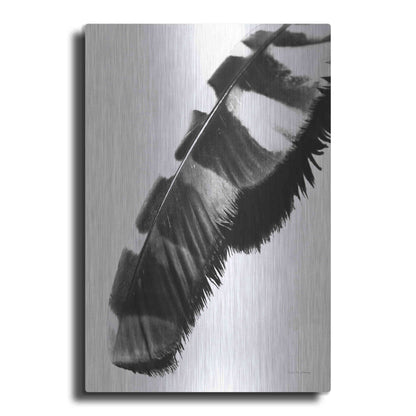 Luxe Metal Art 'Feather Shadow II White' by Debra Van Swearingen, Metal Wall Art