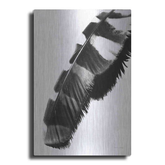 Luxe Metal Art 'Feather Shadow II White' by Debra Van Swearingen, Metal Wall Art