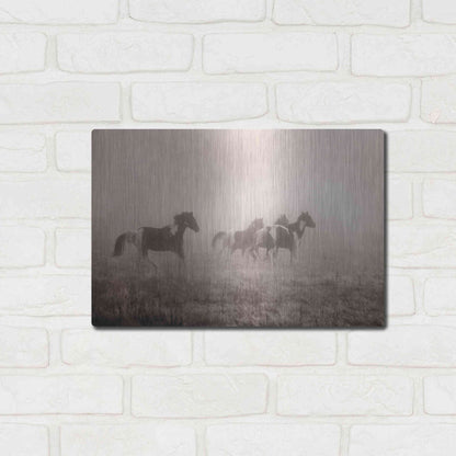 Luxe Metal Art 'Painted Horses on the Run' by Debra Van Swearingen, Metal Wall Art,16x12