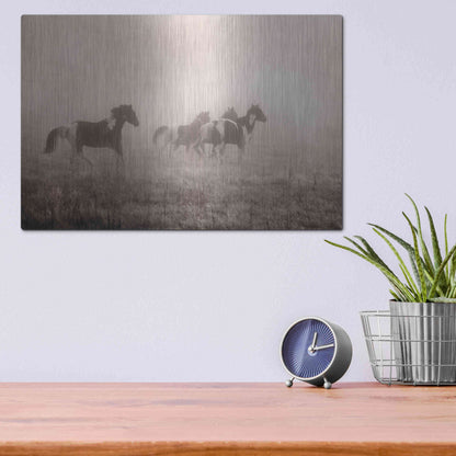 Luxe Metal Art 'Painted Horses on the Run' by Debra Van Swearingen, Metal Wall Art,16x12