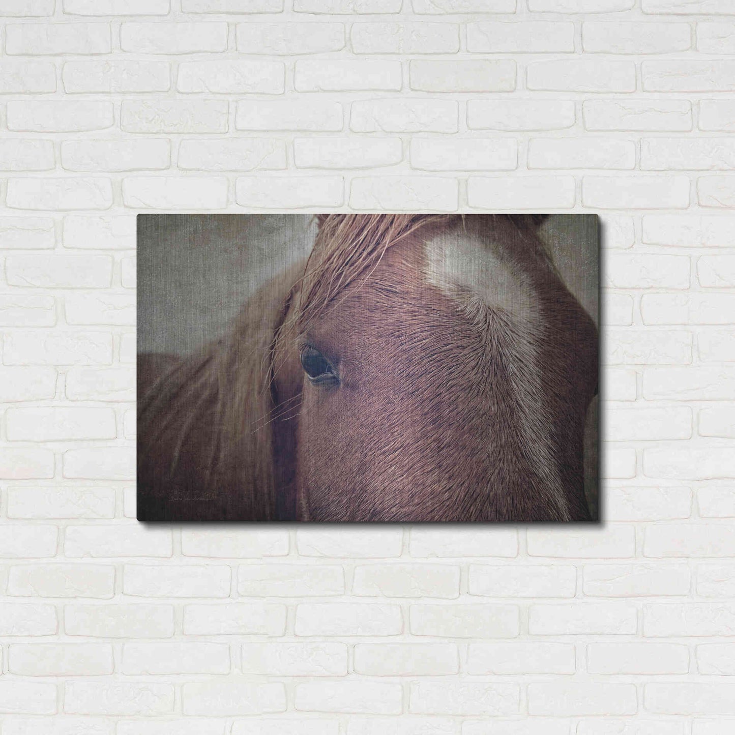 Luxe Metal Art 'Dew Lashes' by Debra Van Swearingen, Metal Wall Art,36x24