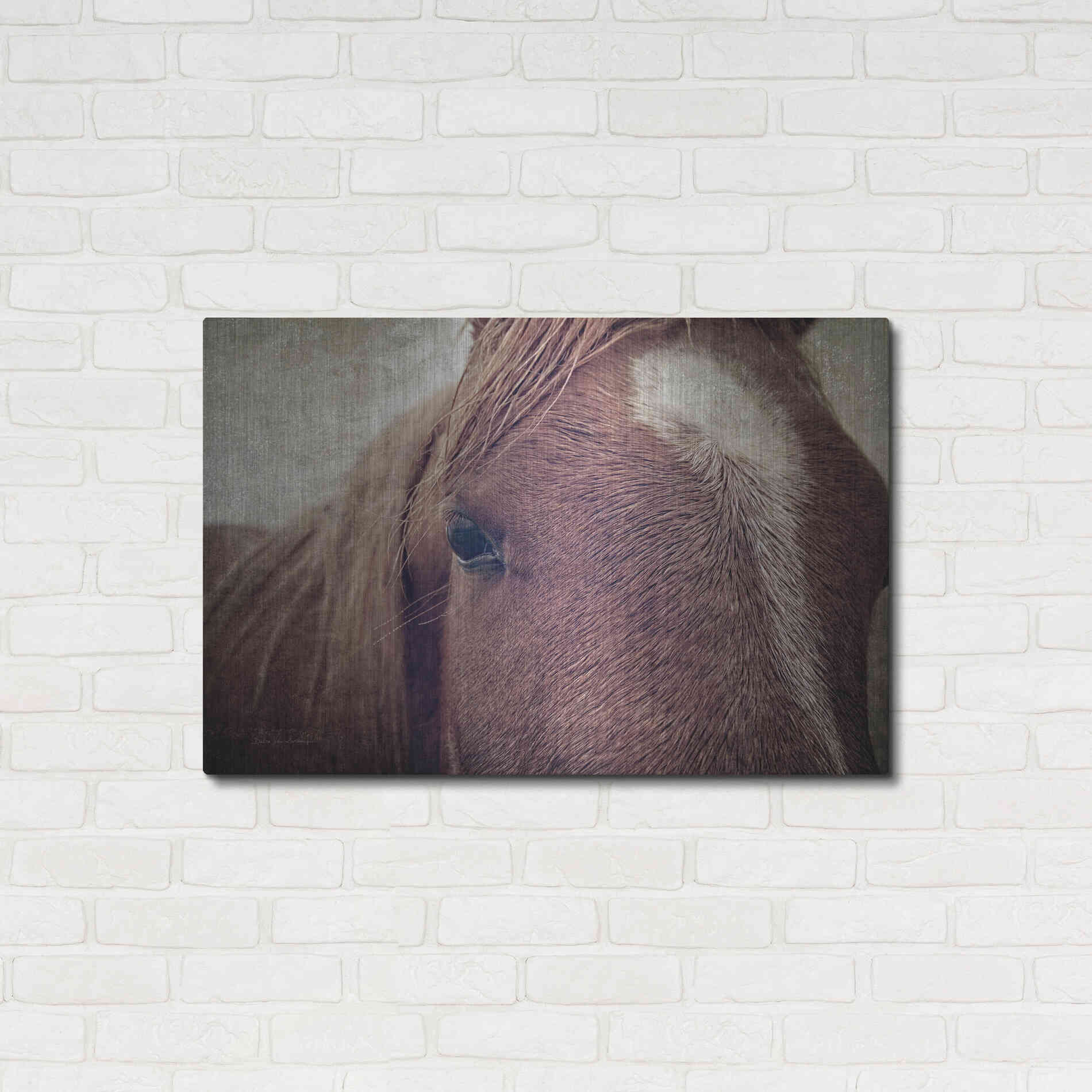 Luxe Metal Art 'Dew Lashes' by Debra Van Swearingen, Metal Wall Art,36x24