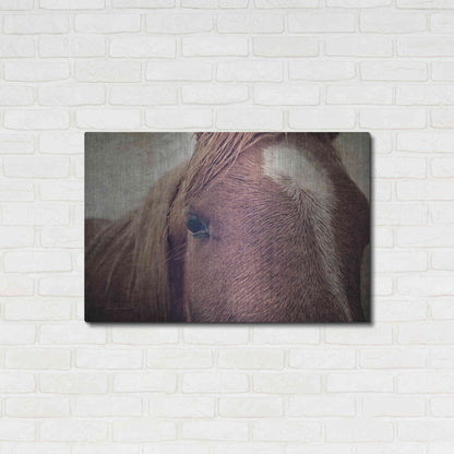 Luxe Metal Art 'Dew Lashes' by Debra Van Swearingen, Metal Wall Art,36x24