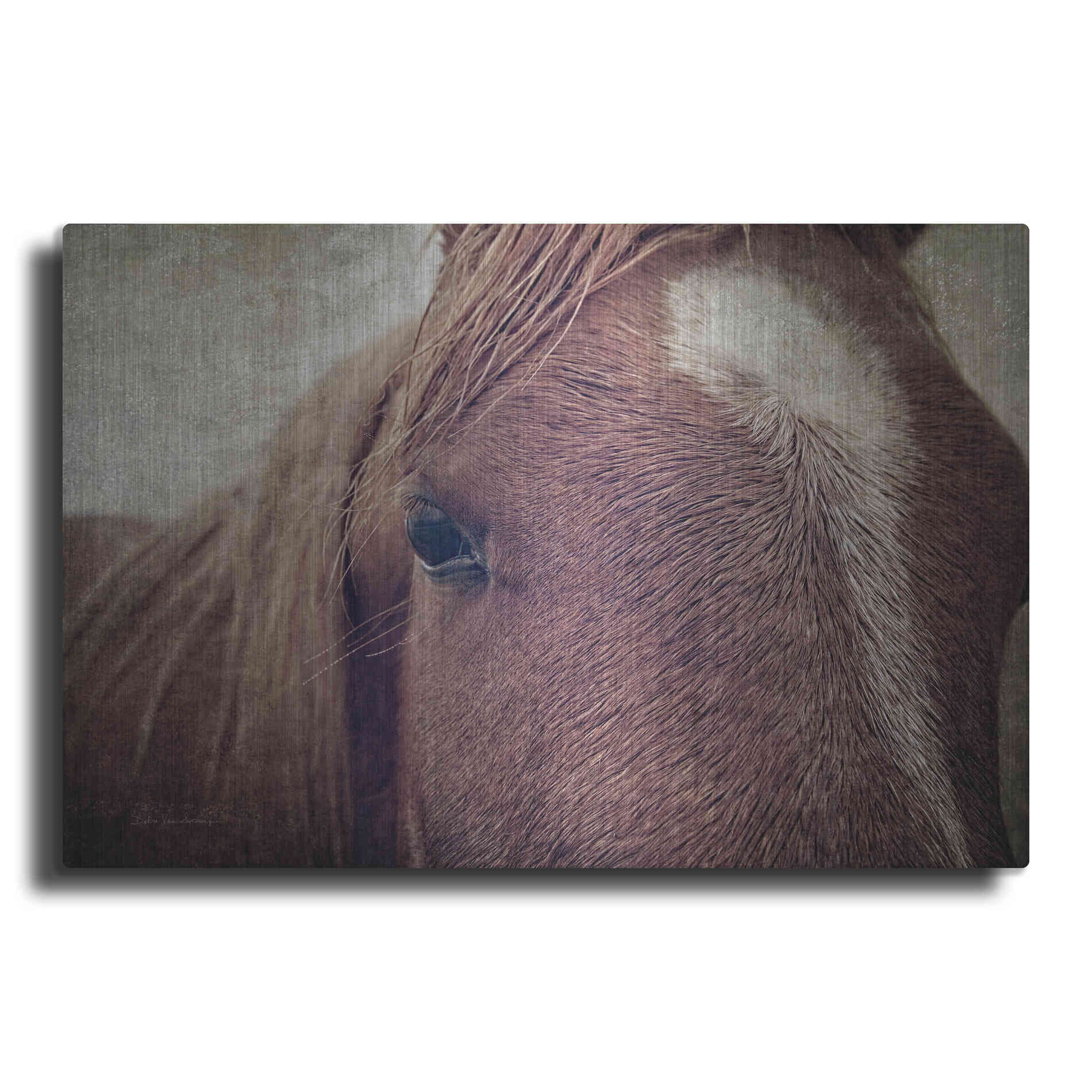 Luxe Metal Art 'Dew Lashes' by Debra Van Swearingen, Metal Wall Art