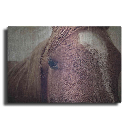 Luxe Metal Art 'Dew Lashes' by Debra Van Swearingen, Metal Wall Art