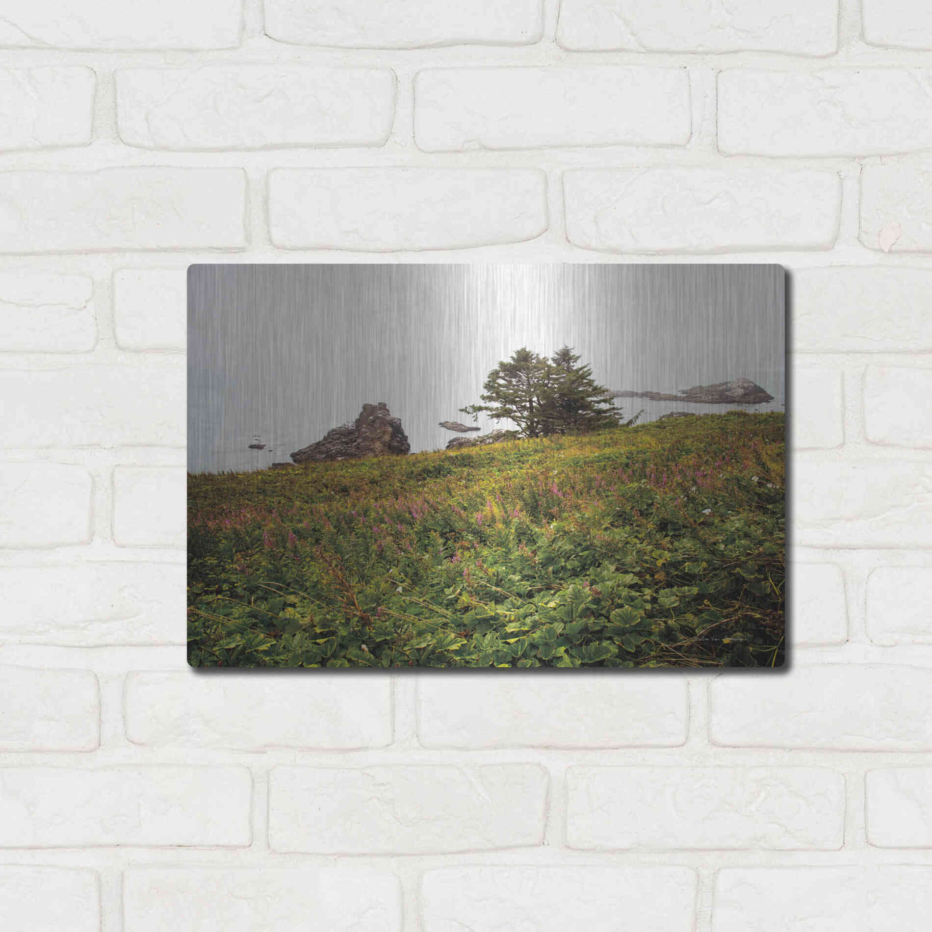 Luxe Metal Art 'Oregon Coast' by Debra Van Swearingen, Metal Wall Art,16x12