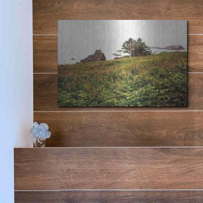 Luxe Metal Art 'Oregon Coast' by Debra Van Swearingen, Metal Wall Art,16x12