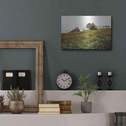 Luxe Metal Art 'Oregon Coast' by Debra Van Swearingen, Metal Wall Art,16x12