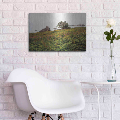 Luxe Metal Art 'Oregon Coast' by Debra Van Swearingen, Metal Wall Art,24x16