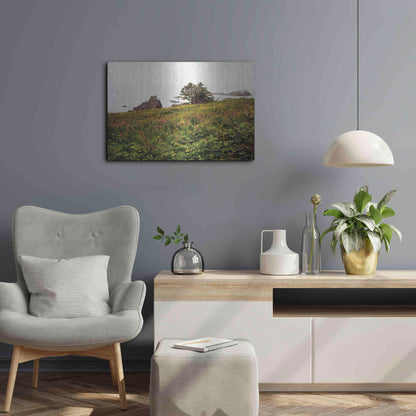 Luxe Metal Art 'Oregon Coast' by Debra Van Swearingen, Metal Wall Art,24x16