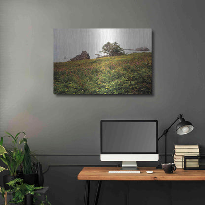 Luxe Metal Art 'Oregon Coast' by Debra Van Swearingen, Metal Wall Art,36x24