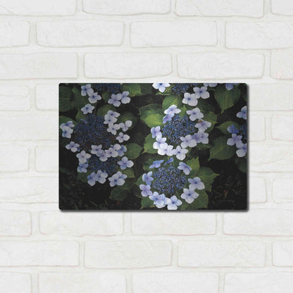 Luxe Metal Art 'Hydrangeas Opening' by Debra Van Swearingen, Metal Wall Art,16x12