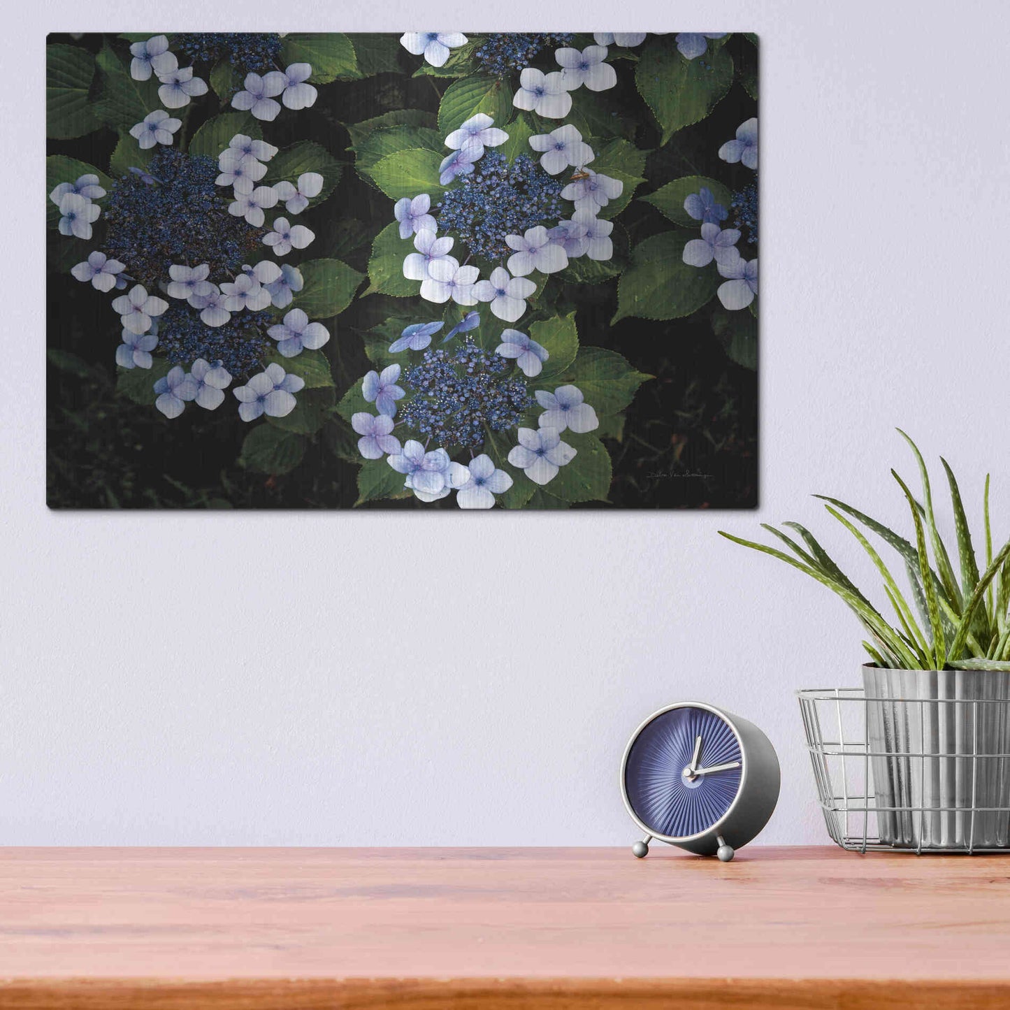 Luxe Metal Art 'Hydrangeas Opening' by Debra Van Swearingen, Metal Wall Art,16x12