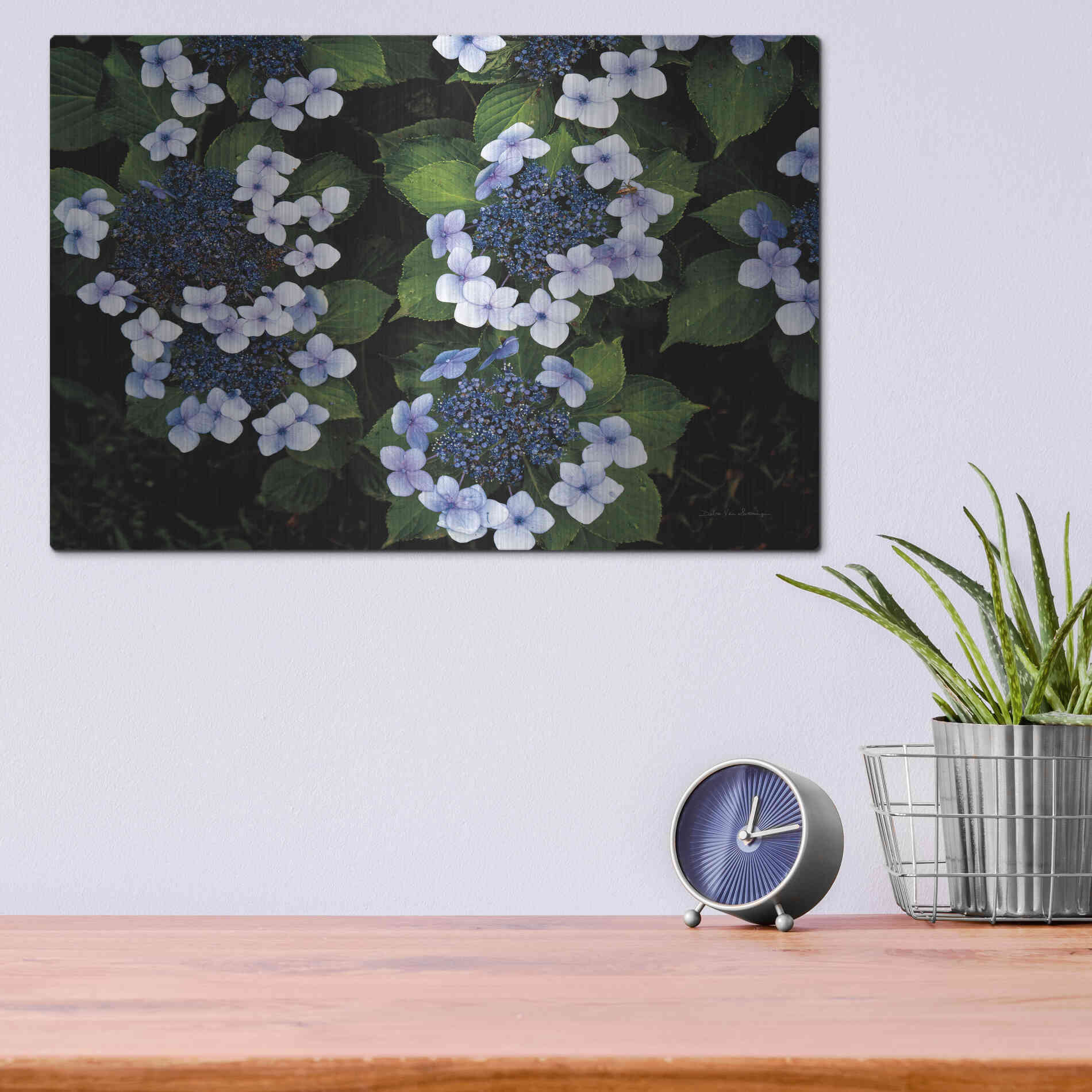 Luxe Metal Art 'Hydrangeas Opening' by Debra Van Swearingen, Metal Wall Art,16x12