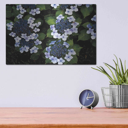 Luxe Metal Art 'Hydrangeas Opening' by Debra Van Swearingen, Metal Wall Art,16x12