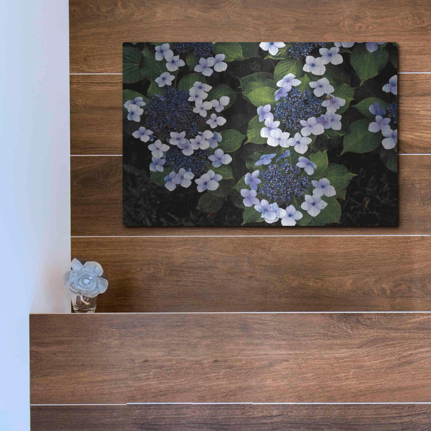 Luxe Metal Art 'Hydrangeas Opening' by Debra Van Swearingen, Metal Wall Art,16x12