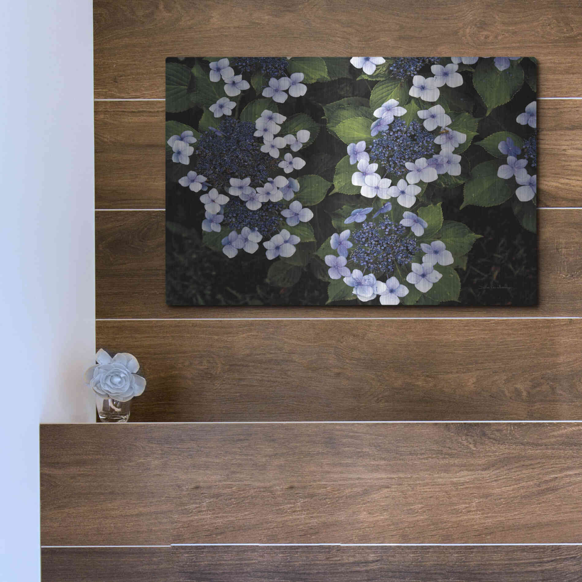 Luxe Metal Art 'Hydrangeas Opening' by Debra Van Swearingen, Metal Wall Art,16x12
