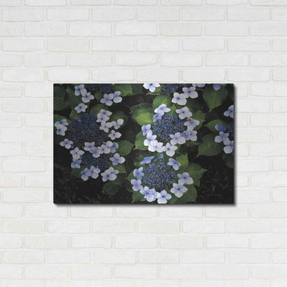 Luxe Metal Art 'Hydrangeas Opening' by Debra Van Swearingen, Metal Wall Art,36x24