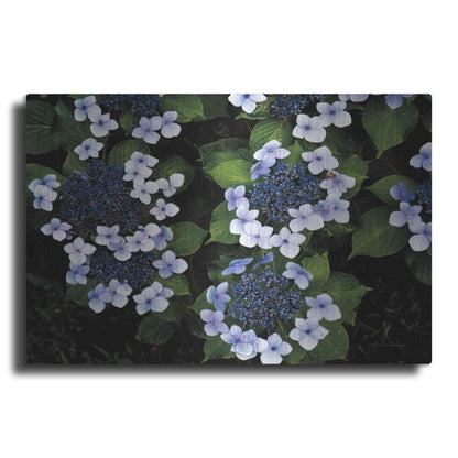 Luxe Metal Art 'Hydrangeas Opening' by Debra Van Swearingen, Metal Wall Art