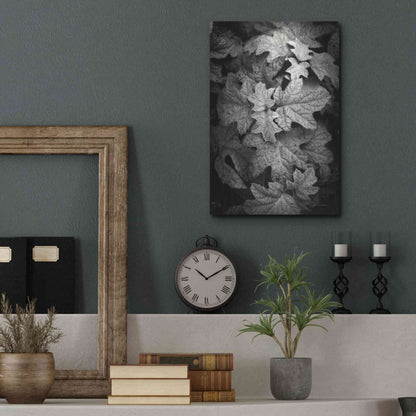 Luxe Metal Art 'Hydrangea Leaves in Black and White' by Debra Van Swearingen, Metal Wall Art,12x16