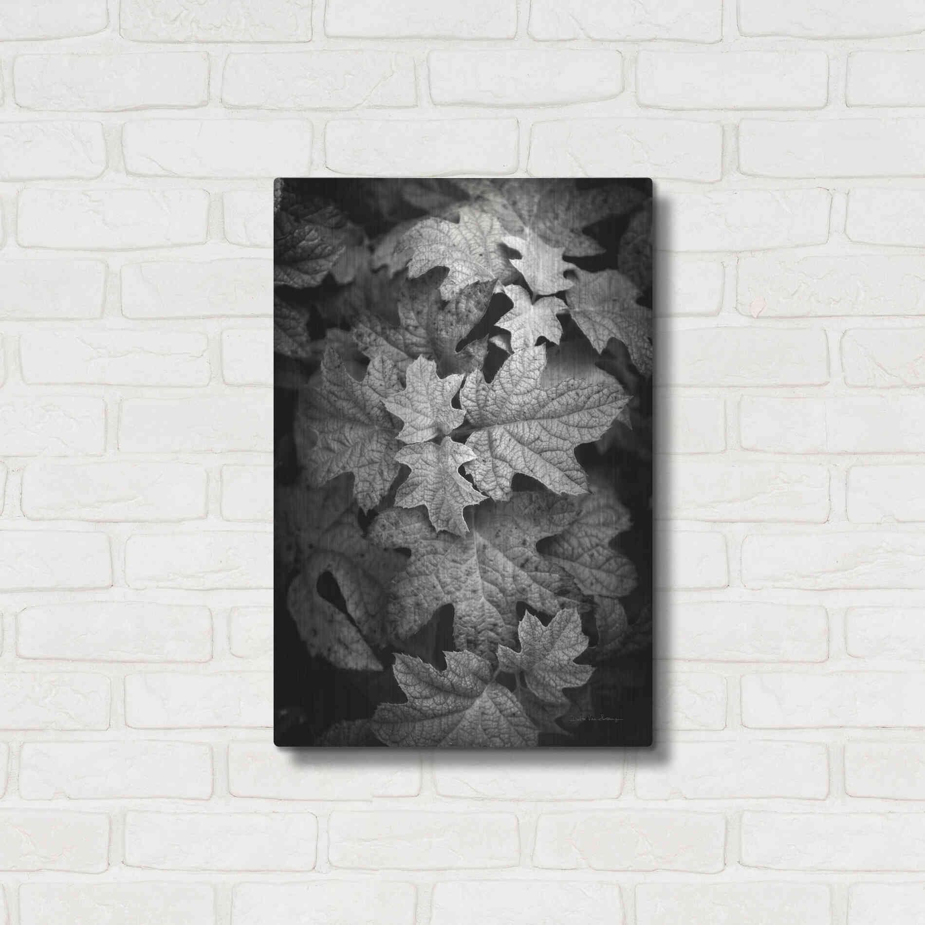 Luxe Metal Art 'Hydrangea Leaves in Black and White' by Debra Van Swearingen, Metal Wall Art,16x24