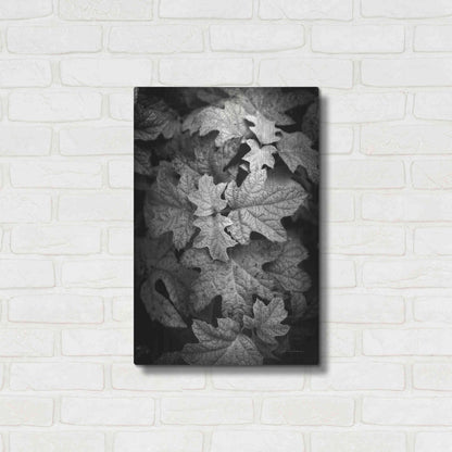 Luxe Metal Art 'Hydrangea Leaves in Black and White' by Debra Van Swearingen, Metal Wall Art,16x24
