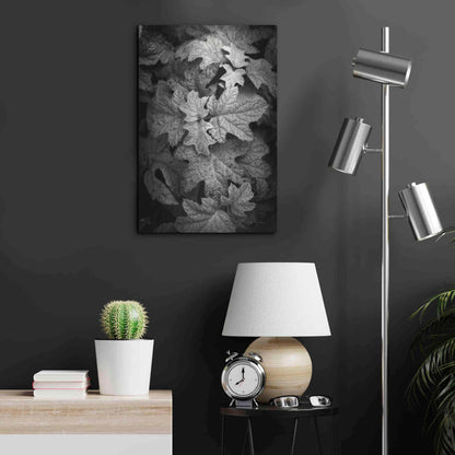 Luxe Metal Art 'Hydrangea Leaves in Black and White' by Debra Van Swearingen, Metal Wall Art,16x24