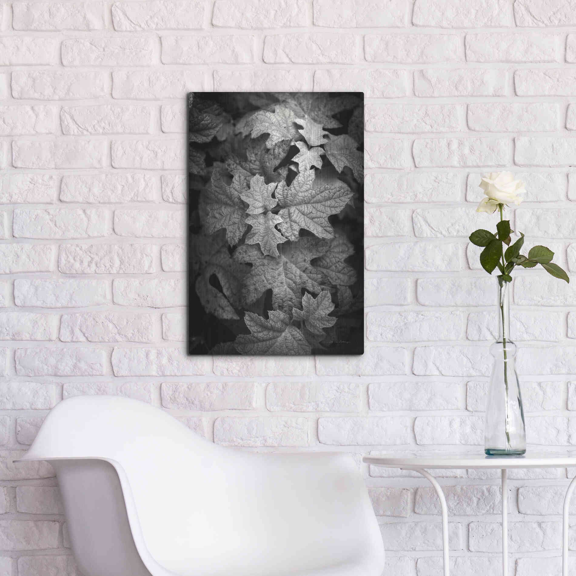 Luxe Metal Art 'Hydrangea Leaves in Black and White' by Debra Van Swearingen, Metal Wall Art,16x24