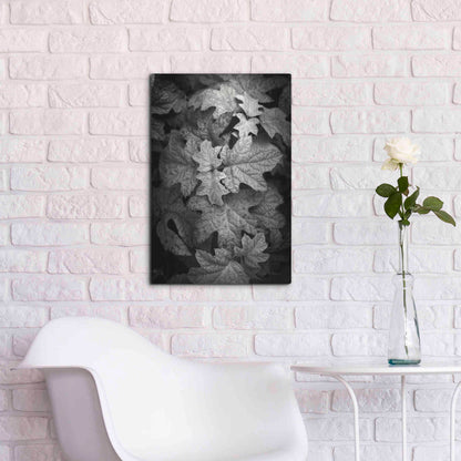 Luxe Metal Art 'Hydrangea Leaves in Black and White' by Debra Van Swearingen, Metal Wall Art,16x24
