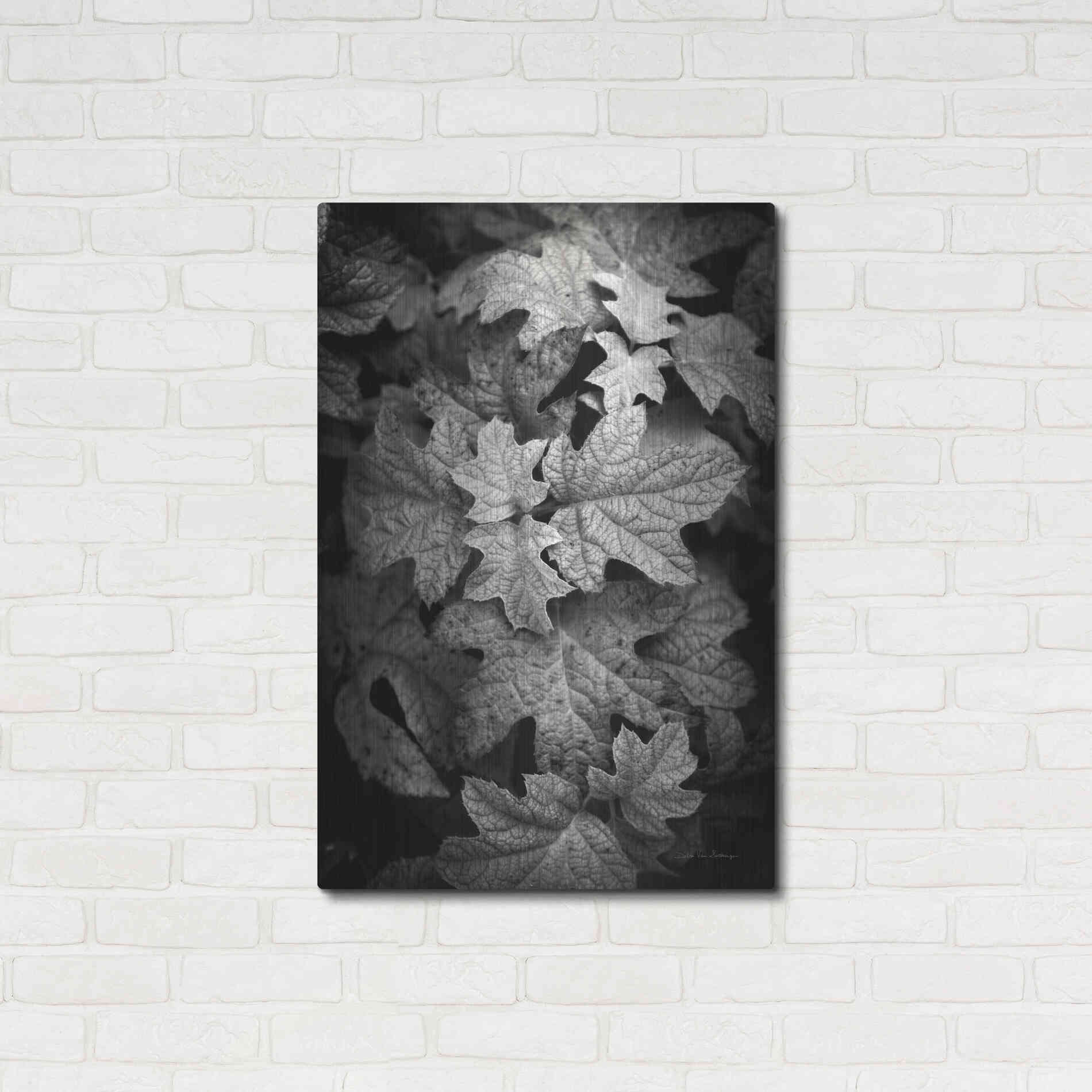 Luxe Metal Art 'Hydrangea Leaves in Black and White' by Debra Van Swearingen, Metal Wall Art,24x36