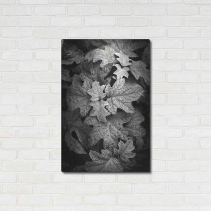 Luxe Metal Art 'Hydrangea Leaves in Black and White' by Debra Van Swearingen, Metal Wall Art,24x36