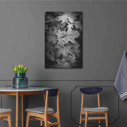 Luxe Metal Art 'Hydrangea Leaves in Black and White' by Debra Van Swearingen, Metal Wall Art,24x36