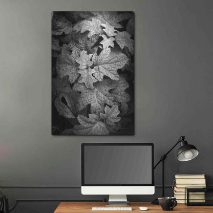 Luxe Metal Art 'Hydrangea Leaves in Black and White' by Debra Van Swearingen, Metal Wall Art,24x36