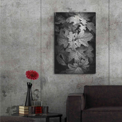 Luxe Metal Art 'Hydrangea Leaves in Black and White' by Debra Van Swearingen, Metal Wall Art,24x36