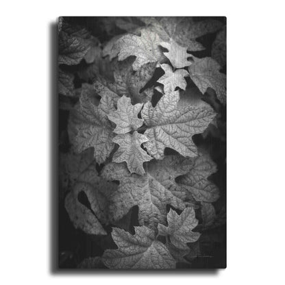 Luxe Metal Art 'Hydrangea Leaves in Black and White' by Debra Van Swearingen, Metal Wall Art