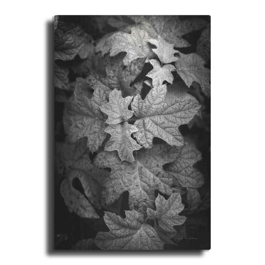 Luxe Metal Art 'Hydrangea Leaves in Black and White' by Debra Van Swearingen, Metal Wall Art