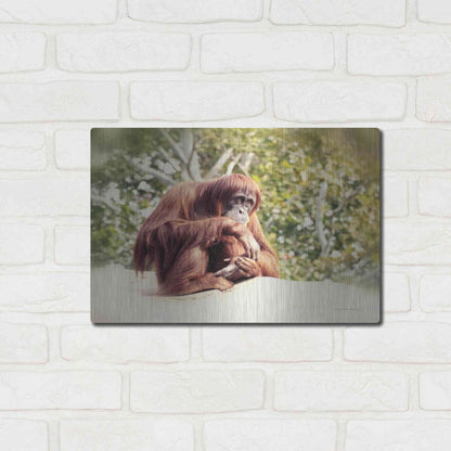 Luxe Metal Art 'Orangutan' by Debra Van Swearingen, Metal Wall Art,16x12