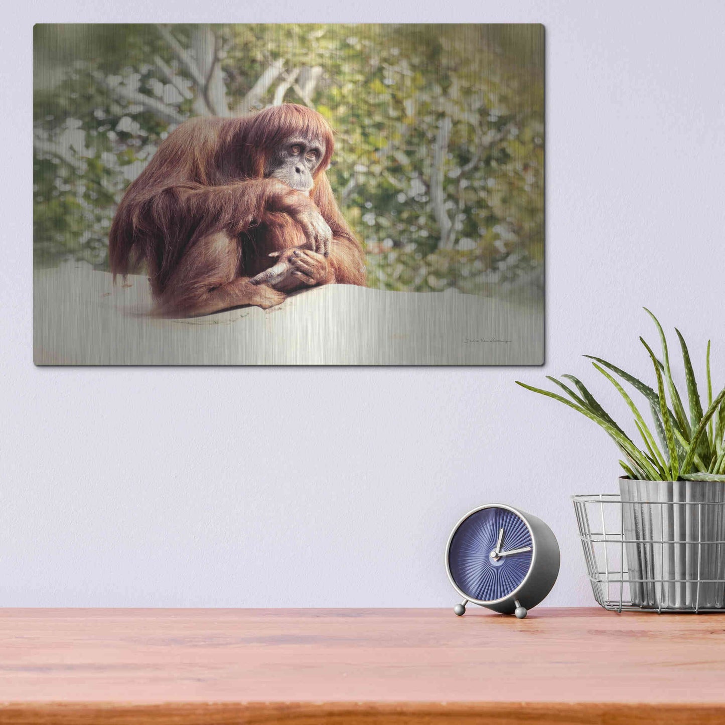 Luxe Metal Art 'Orangutan' by Debra Van Swearingen, Metal Wall Art,16x12