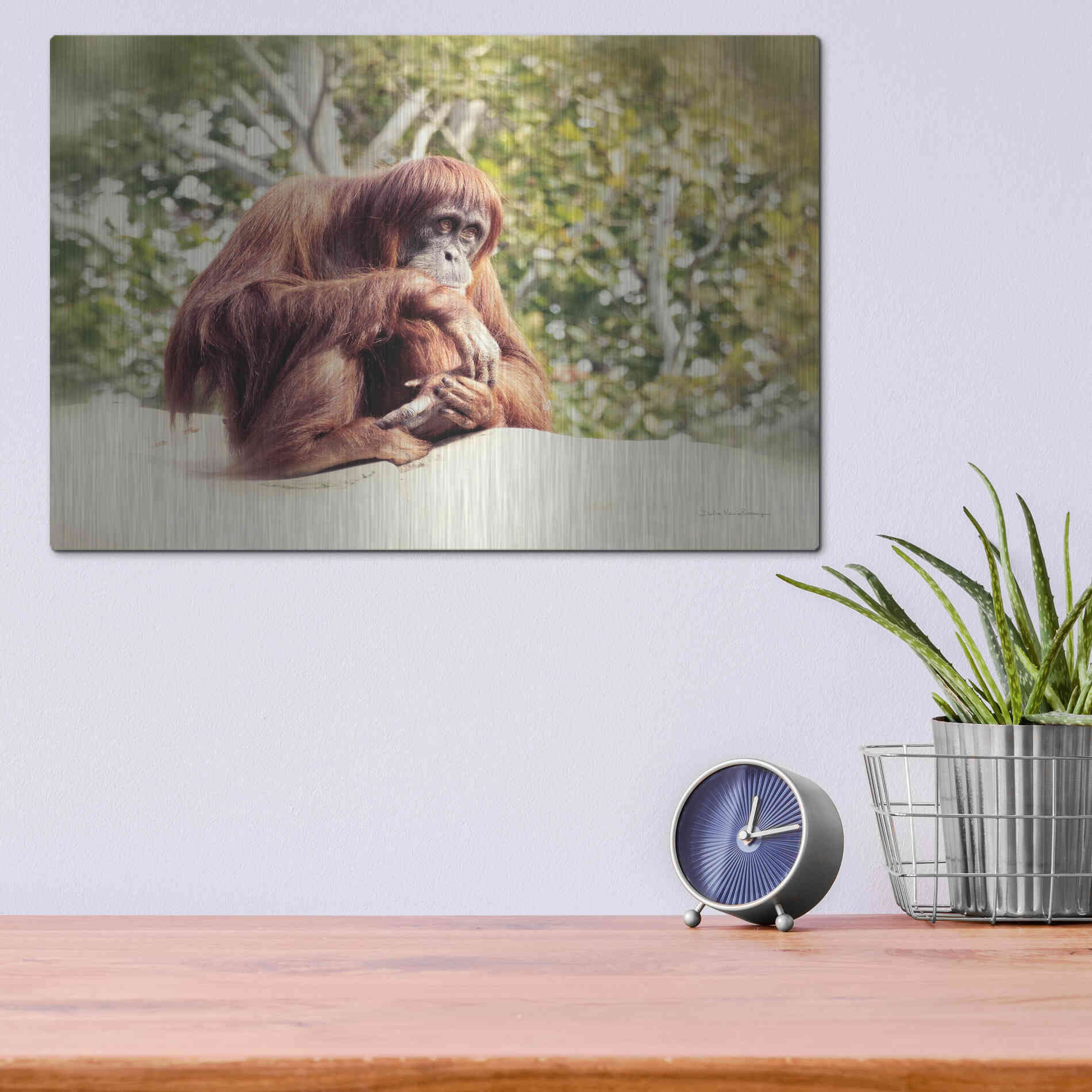 Luxe Metal Art 'Orangutan' by Debra Van Swearingen, Metal Wall Art,16x12