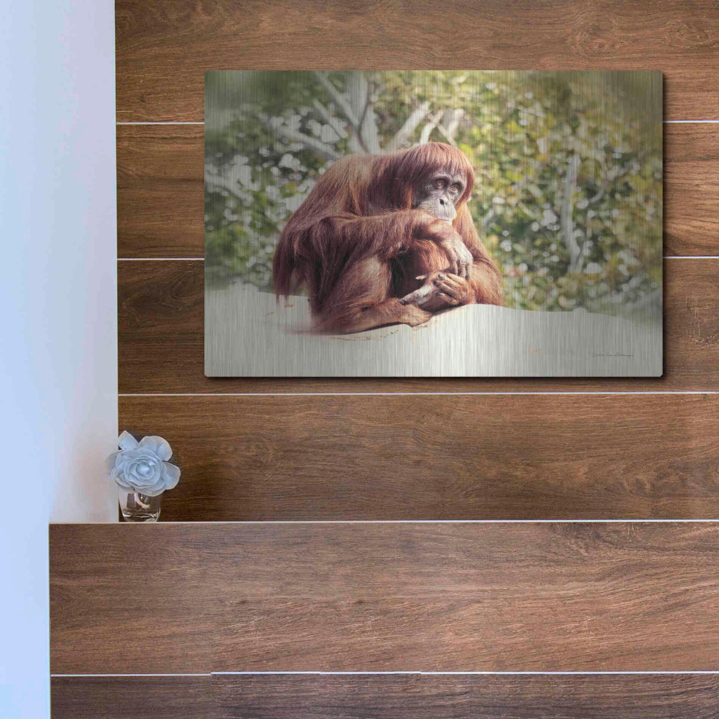 Luxe Metal Art 'Orangutan' by Debra Van Swearingen, Metal Wall Art,16x12