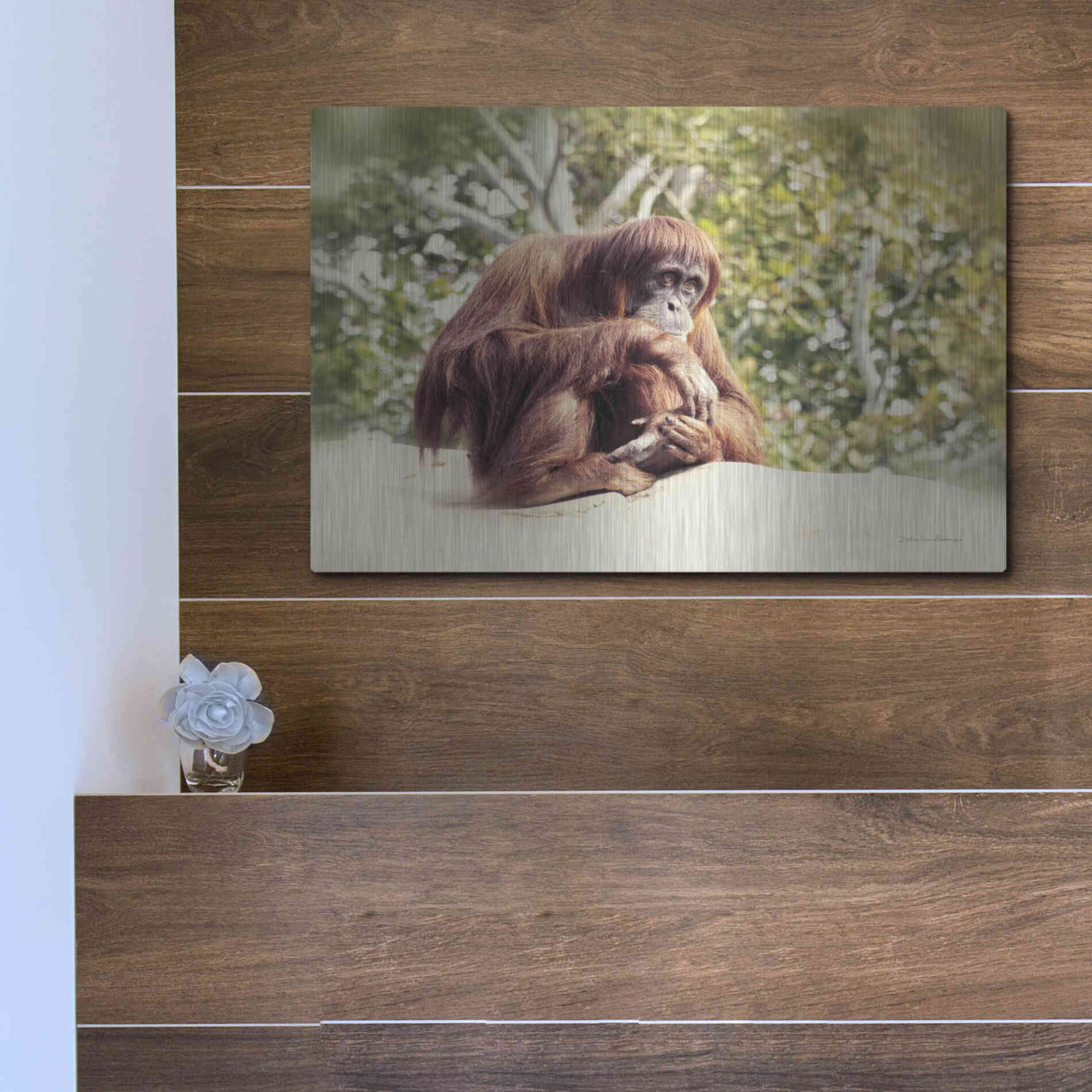 Luxe Metal Art 'Orangutan' by Debra Van Swearingen, Metal Wall Art,16x12