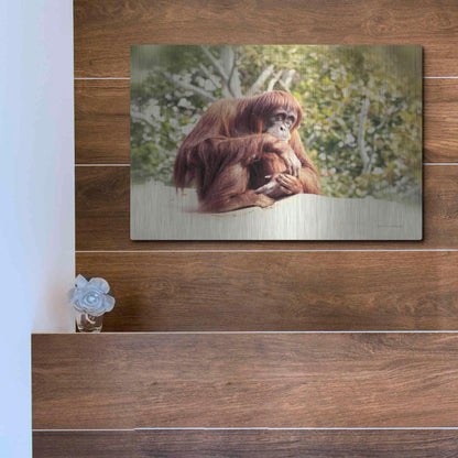 Luxe Metal Art 'Orangutan' by Debra Van Swearingen, Metal Wall Art,16x12