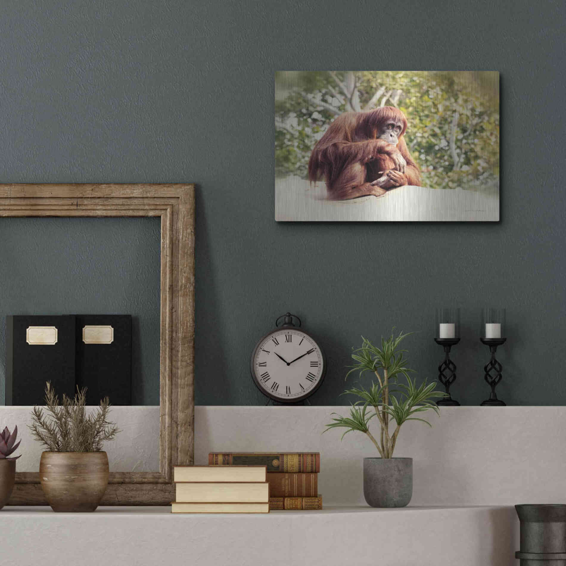 Luxe Metal Art 'Orangutan' by Debra Van Swearingen, Metal Wall Art,16x12